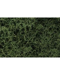 Woodland Scenics WL163 Medium Green Lichen